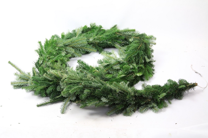 <h4>GUIRLANDE NORDMAN 100 CM</h4>