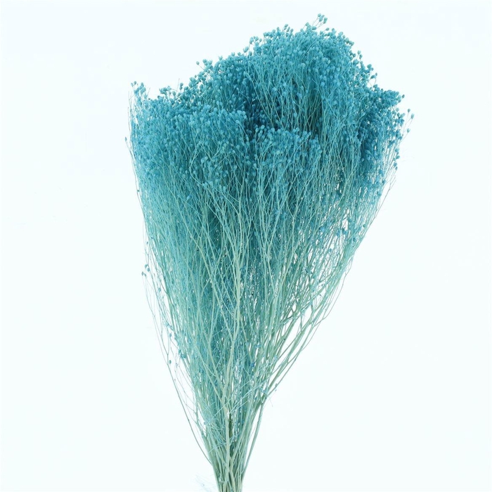 <h4>DROOGBL BEWERKT H%</h4>