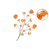 Silk Cherry Blossom Orange 85cm Nm
