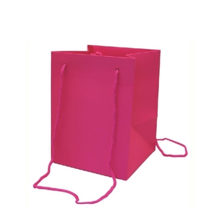Bags Olympic 25*18*18cm PINK