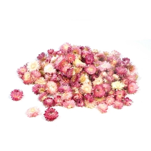 Helichrysum Heads Kg Natural Pink