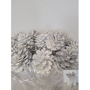 KERST OP STOK DENNEAPPEL WIT