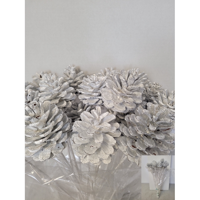 <h4>KERST OP STOK DENNEAPPEL WIT</h4>