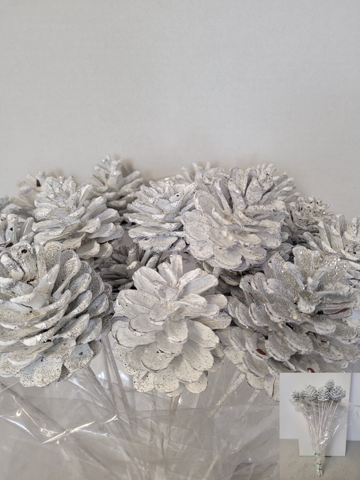 KERST OP STOK DENNEAPPEL WIT