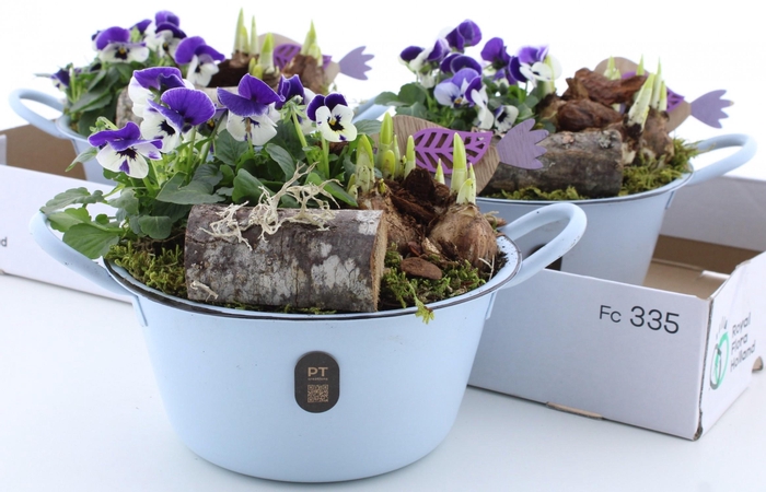 <h4>ARR PL IN SCHAAL</h4>