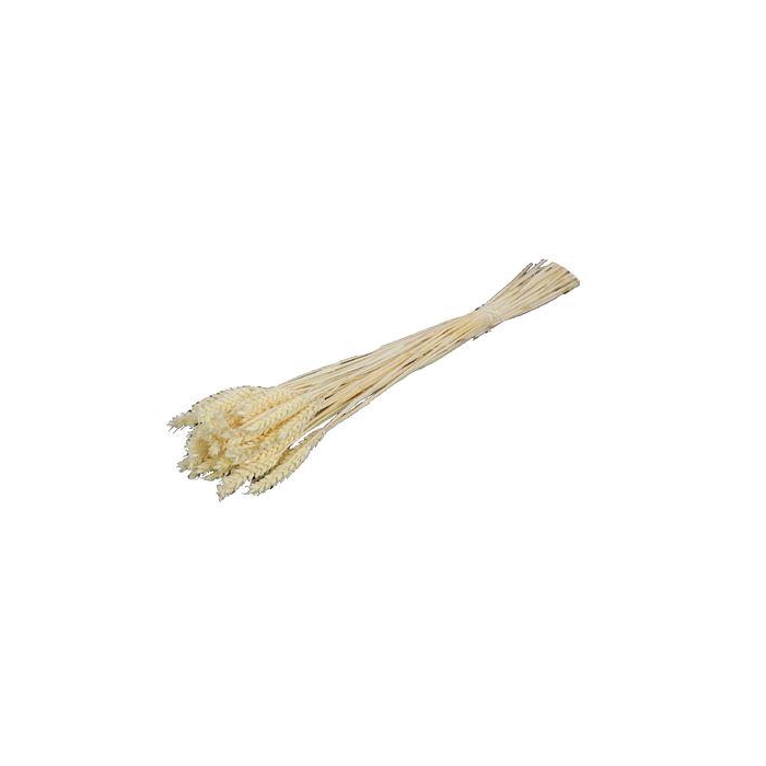 <h4>Bunch Triticum Slv 200g L65 INV</h4>
