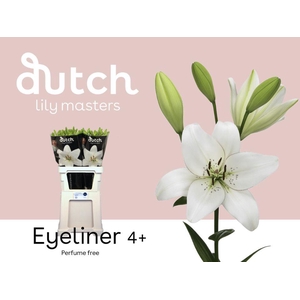 LI LA EYELINER% 5+