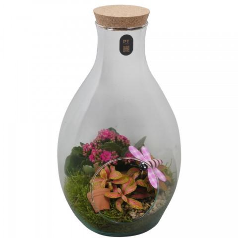 <h4>PTIG2651 Arrangement Indoor in glas fles</h4>