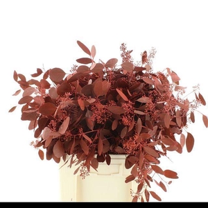 EUC PO FRU KLB BS H%