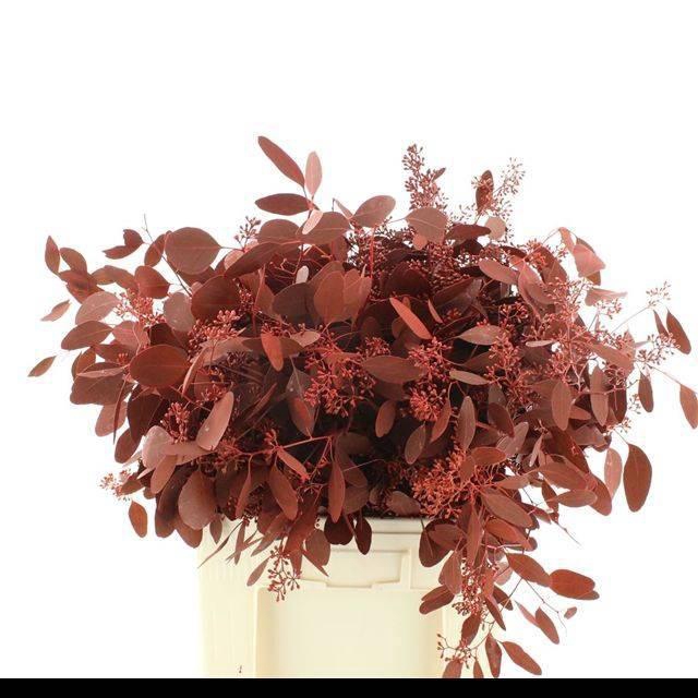 <h4>EUC PO FRU KLB BS H%</h4>