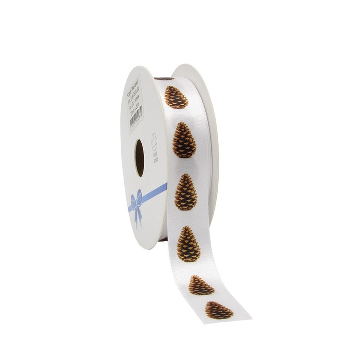 <h4>Herfst Lint Pine cones 23mm 20m</h4>