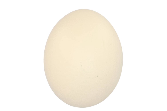 <h4>Eggs Struisvogels Naturel P/1</h4>