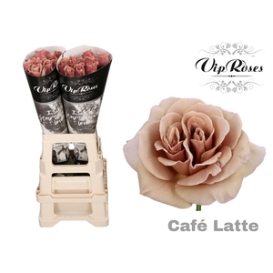R Gr Cafe Latte X20
