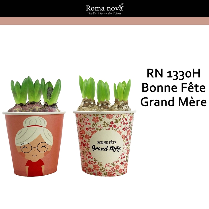 <h4>1330H - Bonne Fête Grand Mère P12 (Hyacint)</h4>