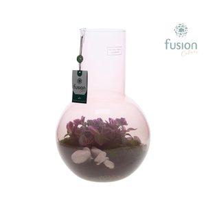 Green Bottle Suzanne Large Smoky Pink met Tradescantia