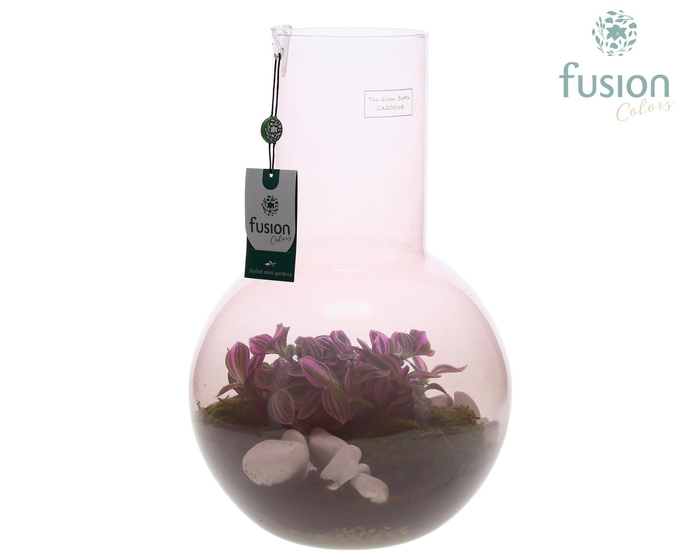 <h4>Green Bottle Suzanne Large Smoky Pink met Tradescantia</h4>