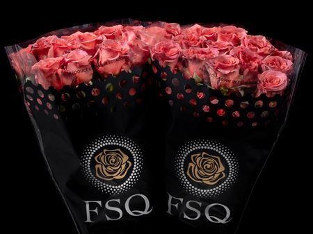 <h4>R Gr Razmatazz</h4>