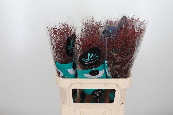 <h4>Talin Pan Long John</h4>