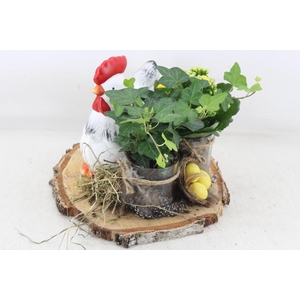 arr2 MB - Kip op schijf 2glas