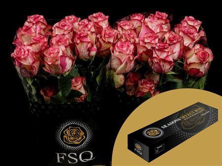 <h4>R Gr Magic Times Box</h4>