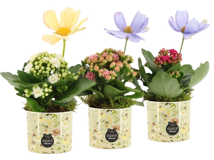 <h4>11694: Consideration arrangement</h4>