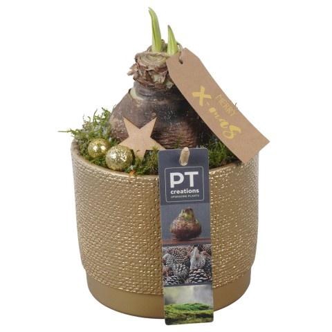 <h4>Opm Pt PTACH5816 Hipp X-mas Keramiek Pot</h4>