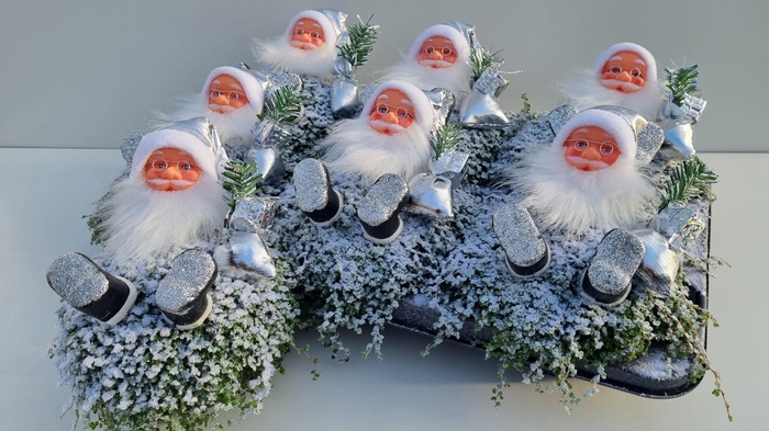 <h4>SOLEI SOL GROEN</h4>