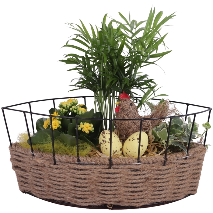 <h4>Easter Arr. Indoor Metal Frame Rope Pot Boat Ø37cm 3PP</h4>