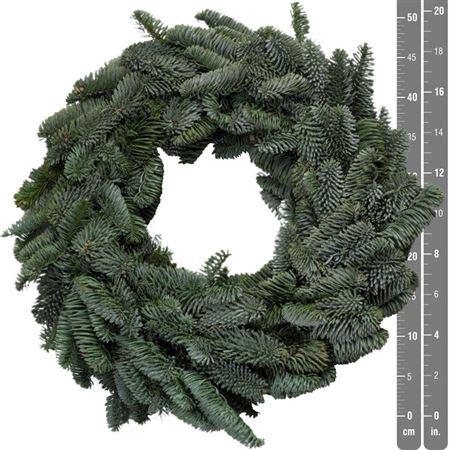 <h4>Wr Nobilis Half 80cm</h4>