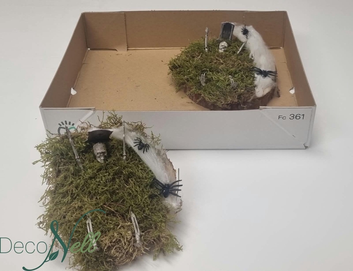 <h4>ARR TUINPLANTEN</h4>