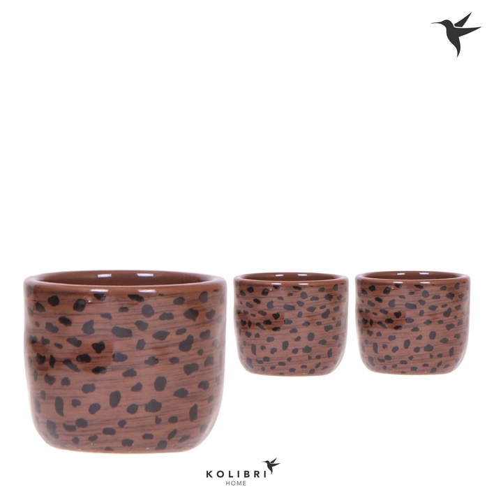 <h4>Kolibri Home Leopard pot</h4>