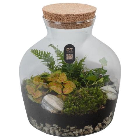 <h4>PTTER8109 Arrangement terrarium in glazen terrarium</h4>