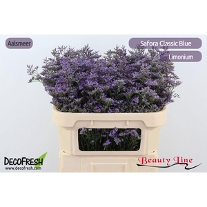 Lim Saf Classic Blue