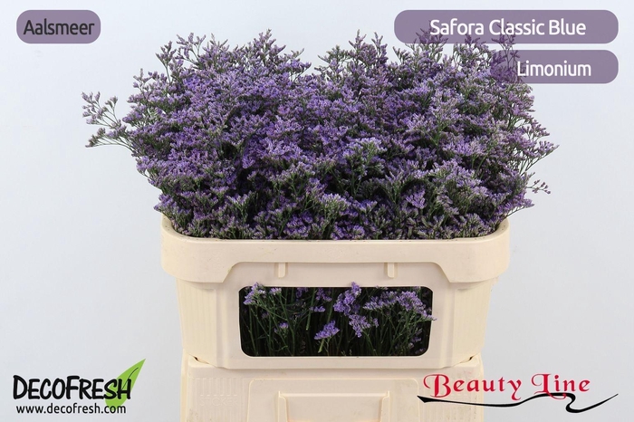 <h4>Lim Saf Classic Blue</h4>