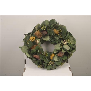 Wreath Spring Berry Feather 30cm