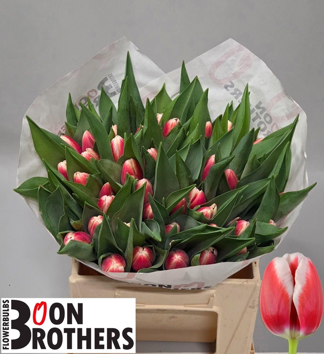 <h4>TU EN OUTFIT</h4>