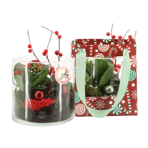 61994: X-mas arrangement