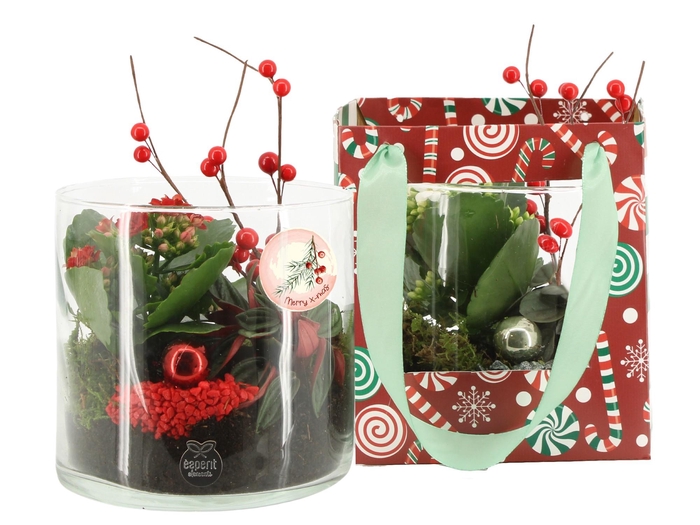 <h4>61994: X-mas arrangement</h4>