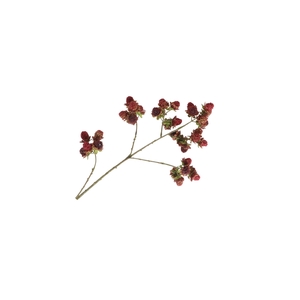 BLACKBERRY BRANCH LV330153BUR