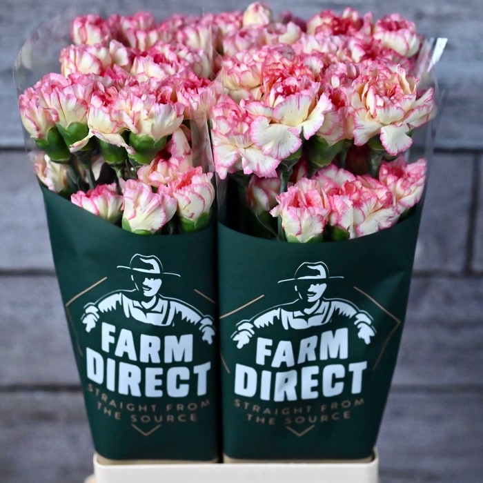 <h4>Di St Spritz</h4>