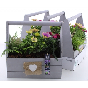ARR TUINPLANTEN