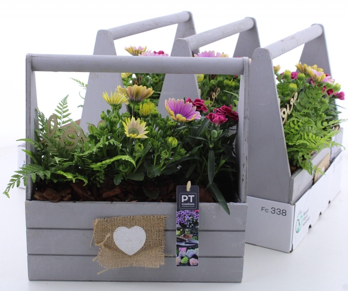 <h4>ARR TUINPLANTEN</h4>