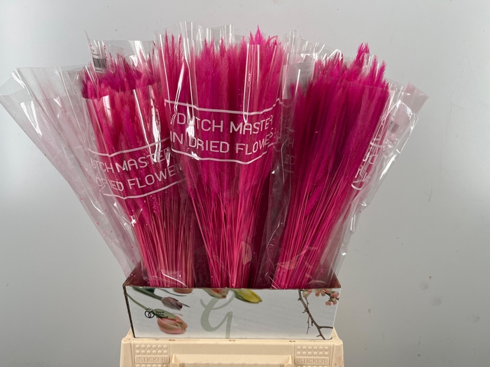 <h4>DROOGBL BEWERKT H%</h4>