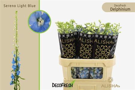 <h4>Delph Du Ov</h4>