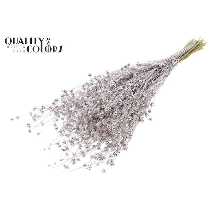 <h4>Lino Vlas p/bunch in poly Champagne</h4>