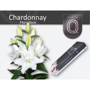 LI OR DU CHARDONNAY FLORISTBOX 5+