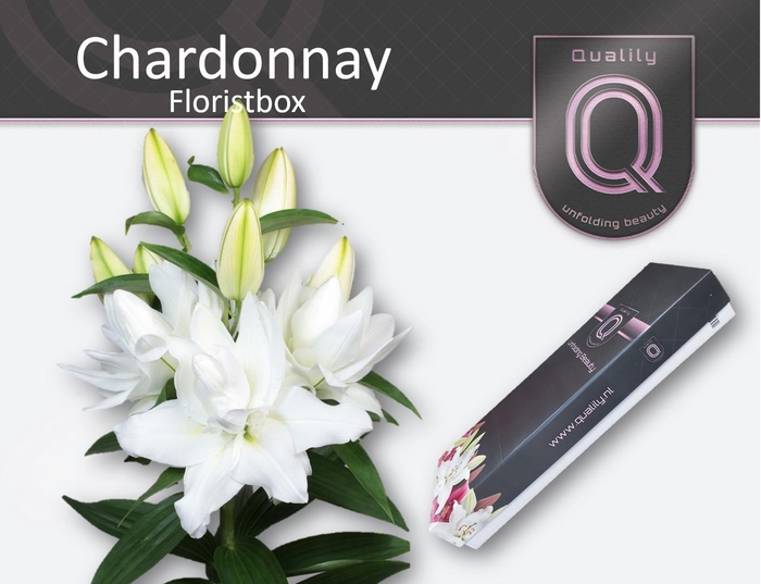 <h4>LI OR DU CHARDONNAY FLORISTBOX 5+</h4>