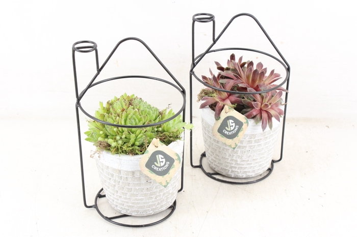 <h4>arr4 Semp JS - Ijzer huis frame ker. pot</h4>