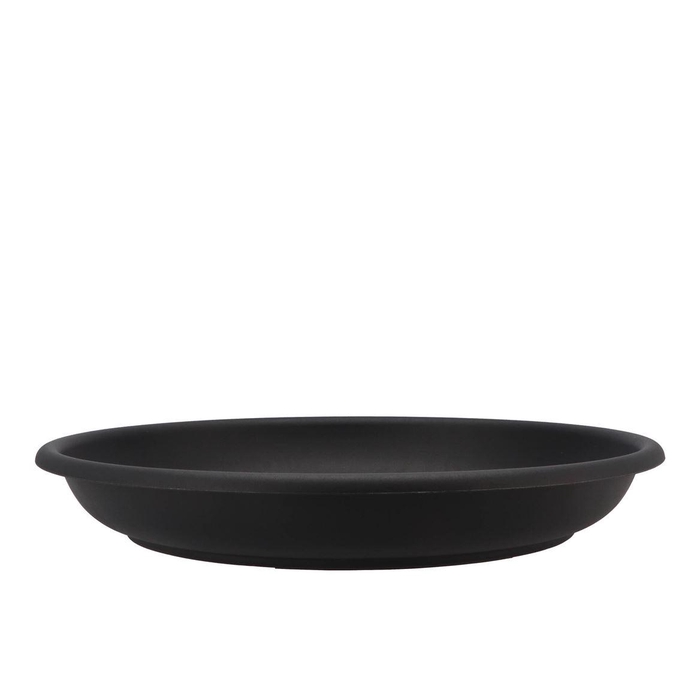 <h4>Floristry Plate 45cm P/10 Black</h4>