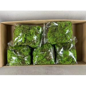 Moss Icelandic 500gr L.Green